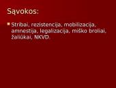 Ginkluotas Lietuvos pasipriešinimas 11 puslapis