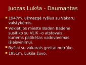 Ginkluotas Lietuvos pasipriešinimas 8 puslapis