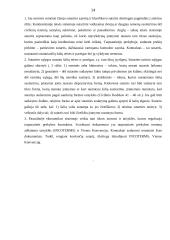 Kontraktų vadyba 13 puslapis