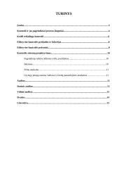 Kontrolė ir auditas