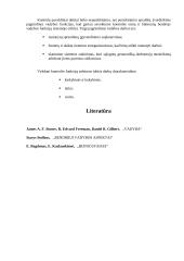 Kontrolė ir auditas 9 puslapis