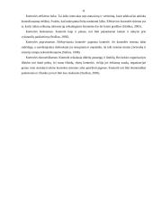 Kontrolės esmė ir samprata 11 puslapis