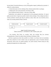 Kontrolės esmė ir samprata 13 puslapis