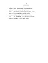 Kontrolės esmė ir samprata 15 puslapis