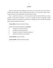 Kontrolės esmė ir samprata 3 puslapis