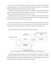 Kontrolės esmė ir samprata 8 puslapis