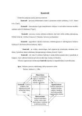 Kontrolės proceso analizė 2 puslapis