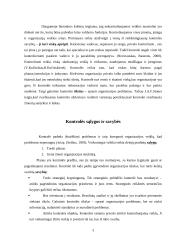 Kontrolės proceso analizė 3 puslapis