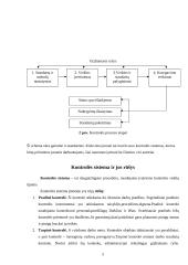 Kontrolės proceso analizė 5 puslapis