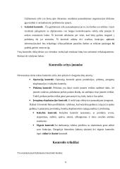 Kontrolės proceso analizė 6 puslapis