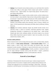 Kontrolės proceso analizė 7 puslapis