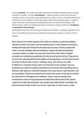 Kontrolės proceso analizė 8 puslapis