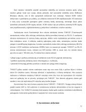 Kopenhagos pasitarimo reikšmė Europos Centrinio Banko (ECB) pinigų politikai 13 puslapis