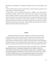Kopenhagos pasitarimo reikšmė Europos Centrinio Banko (ECB) pinigų politikai 19 puslapis