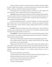 Kredito unijų kreditavimo analizė 17 puslapis