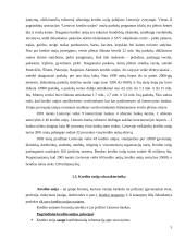 Kredito unijų kreditavimo analizė 5 puslapis