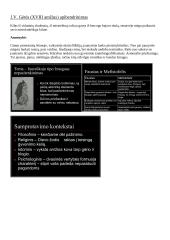 Pastraipa: Ar žmogui yra sunku atsispirti modernaus pasaulio pagundoms, įpročiams ar įgeidžiams? Fausto analizė 2 puslapis