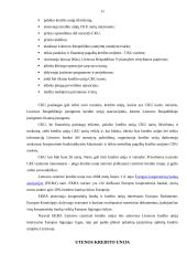 Kredito unijų veikla Lietuvoje 11 puslapis