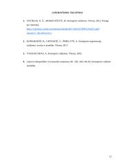 NSK „Siekis“ išorinės ir vidinės aplinkos veiksnių strateginė analizė 11 puslapis