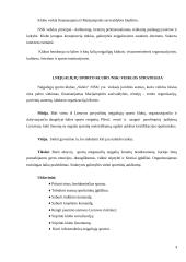 NSK „Siekis“ išorinės ir vidinės aplinkos veiksnių strateginė analizė 3 puslapis