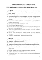 NSK „Siekis“ išorinės ir vidinės aplinkos veiksnių strateginė analizė 5 puslapis