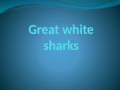 Great white sharks