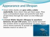 Great white sharks 2 puslapis