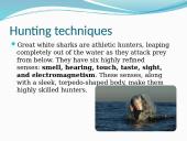 Great white sharks 4 puslapis