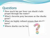 Great white sharks 6 puslapis