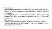 LR Konstitucija. Piliečių ekonominės socialinės darbo ir politinės teisės, ir laisvės 5 puslapis