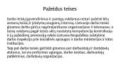 LR Konstitucija. Piliečių ekonominės socialinės darbo ir politinės teisės, ir laisvės 8 puslapis