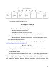 Krovinių gabenimas automobiliais 12 puslapis