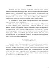 Krovinių gabenimas automobiliais 3 puslapis