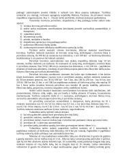 Krovinių paruošimas transportavimui, įpakavimo žymėjimas 11 puslapis