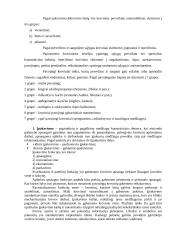 Krovinių paruošimas transportavimui, įpakavimo žymėjimas 5 puslapis