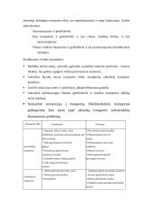 Krovinių pervežimai ir jų valdymas 7 puslapis