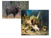 Renesansas LDK. Skaidrės 11 puslapis