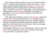 Renesansas LDK. Skaidrės 13 puslapis