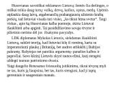 Renesansas LDK. Skaidrės 14 puslapis