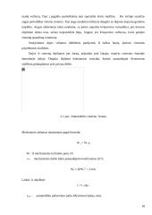 Krovinių vežimo organizavimas: UAB "Kargautas" 15 puslapis