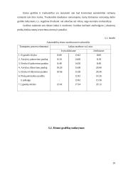 Krovinių vežimo organizavimas: UAB "Kargautas" 17 puslapis