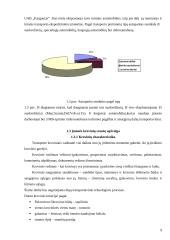 Krovinių vežimo organizavimas: UAB "Kargautas" 6 puslapis