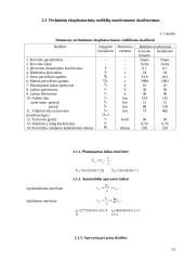 Krovinių vežimo organizavimas: UAB "Kargautas" 10 puslapis