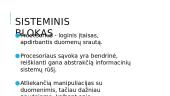 Sisteminis blokas (skaidrės) 2 puslapis