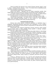 Johanesas Bramsas (konspektas) 3 puslapis