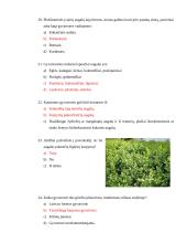 Dekoratyvinio želdinimo ir aplinkos tvarkymo verslo darbuotojo testas 5 puslapis