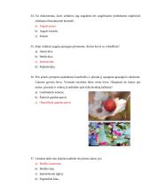 Dekoratyvinio želdinimo ir aplinkos tvarkymo verslo darbuotojo testas 8 puslapis