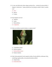 Dekoratyvinio želdinimo ir aplinkos tvarkymo verslo darbuotojo testas 10 puslapis