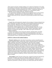 Ksenobiotikai, nitritai ir toksinai maiste 11 puslapis