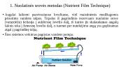 Hidroponika (skaidrės) 5 puslapis